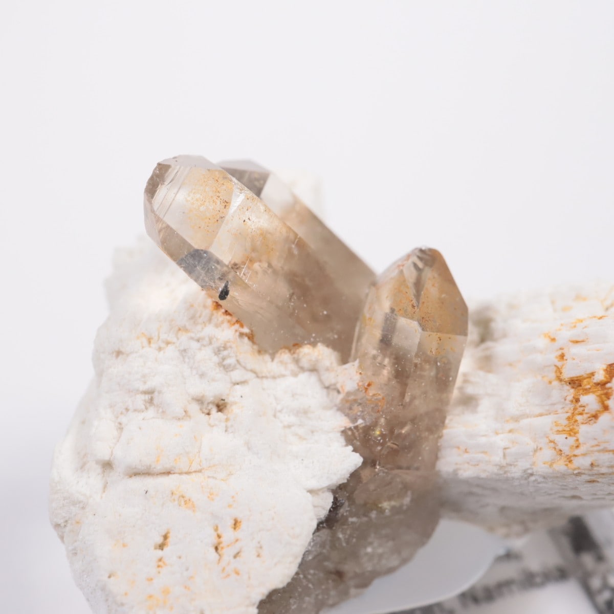 �����󥴹ۻ� ���⡼������������