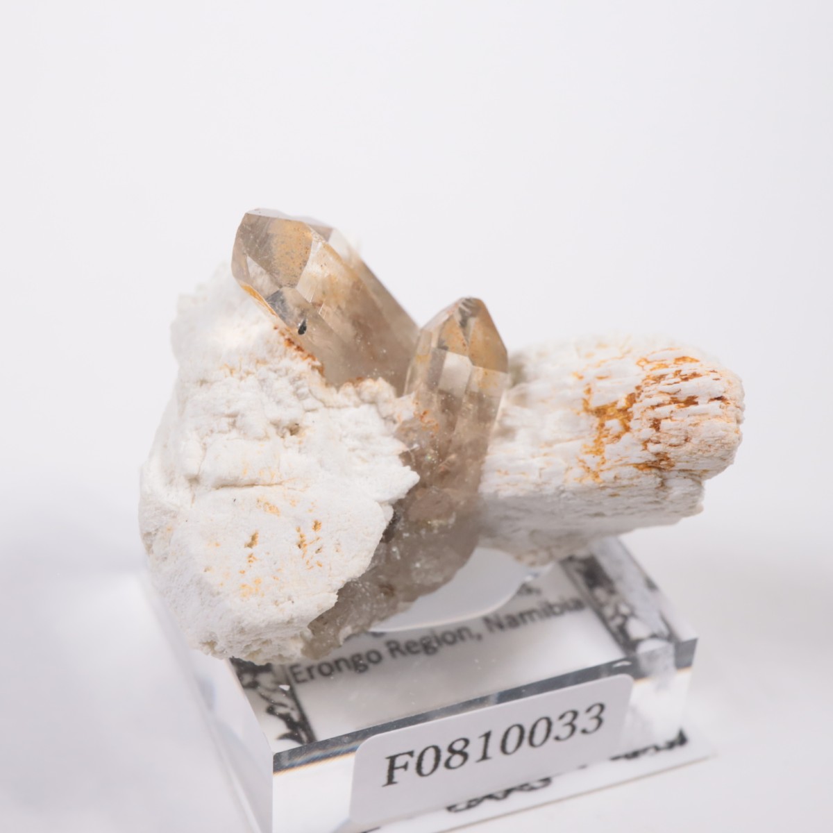 �����󥴹ۻ� ���⡼������������