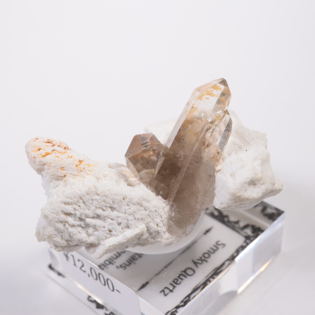 �����󥴹ۻ� ���⡼������������