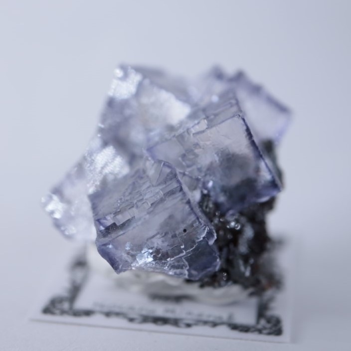 エルムウッド鉱山の蛍石/フローライトの結晶標本 エルムウッド鉱山 フローライト | 鉱物標本,ハ行,フローライト