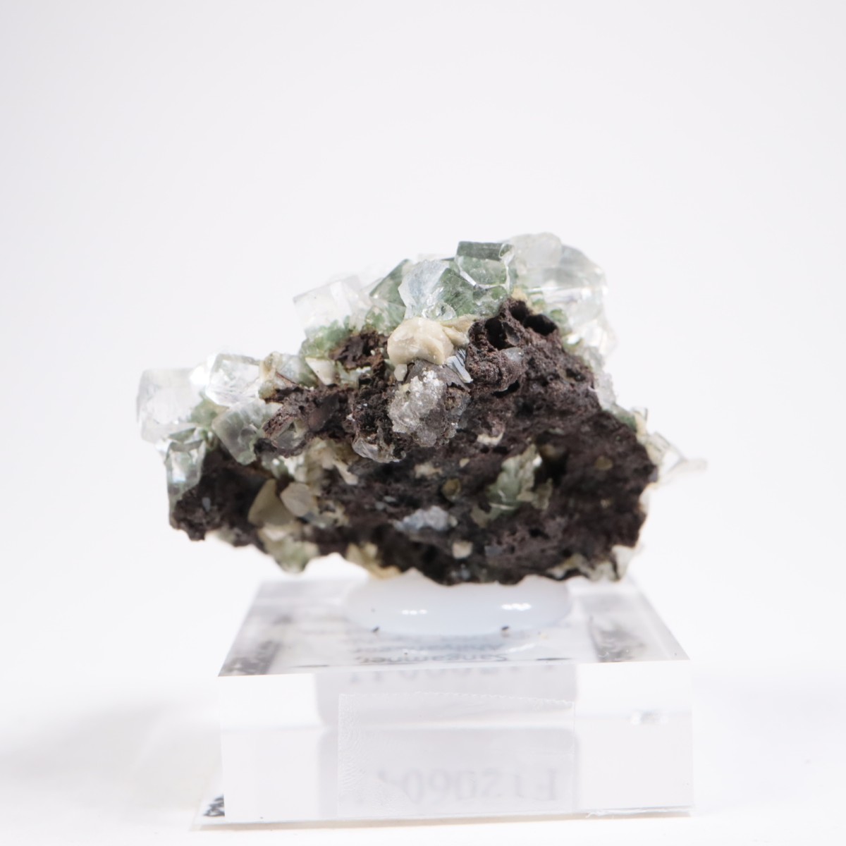 ����ɻ� ���ݥե��饤��