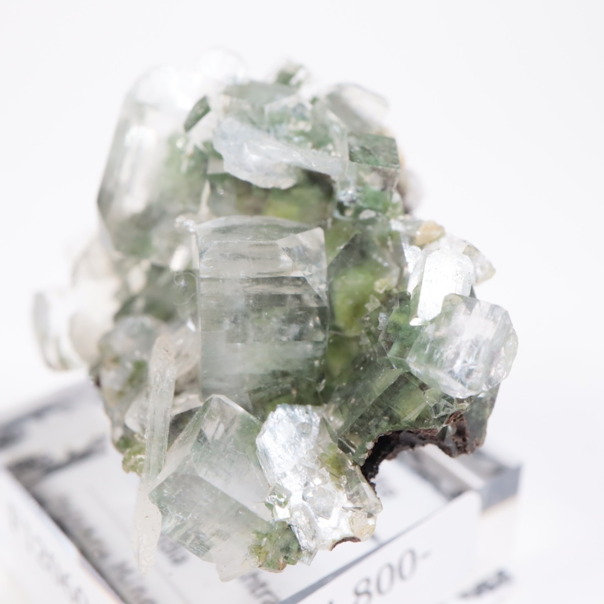 ����ɻ� ���ݥե��饤��