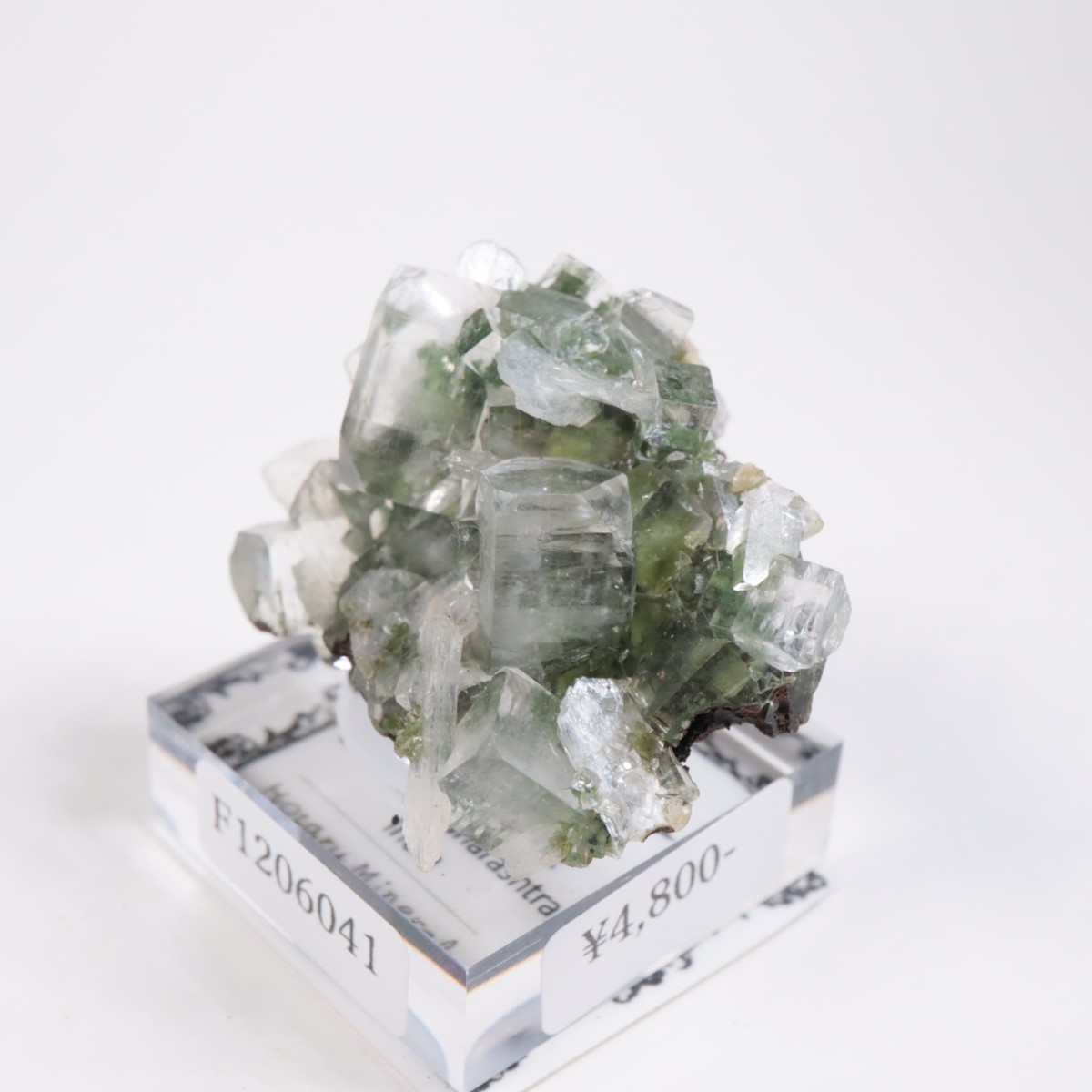 ����ɻ� ���ݥե��饤��