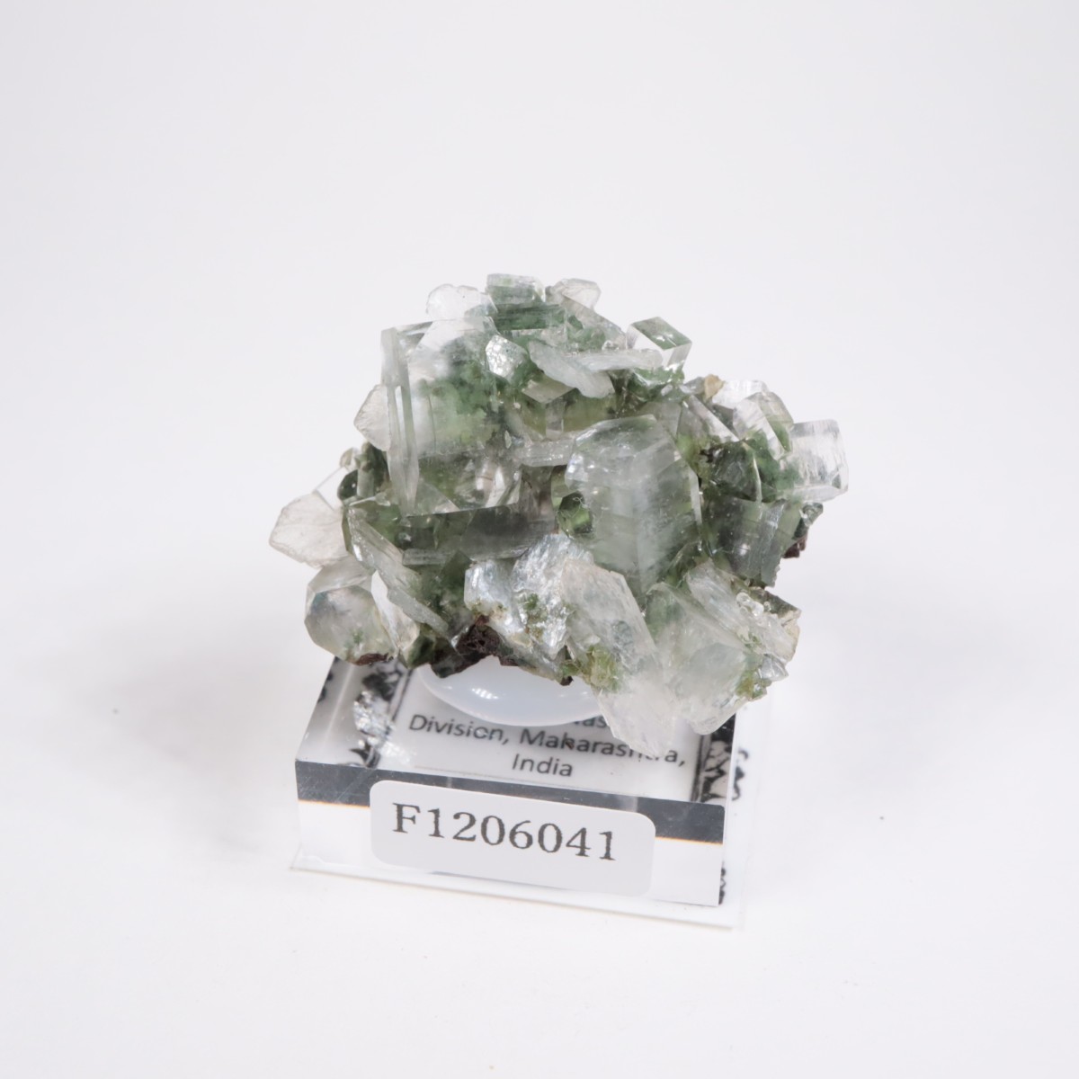 ����ɻ� ���ݥե��饤��