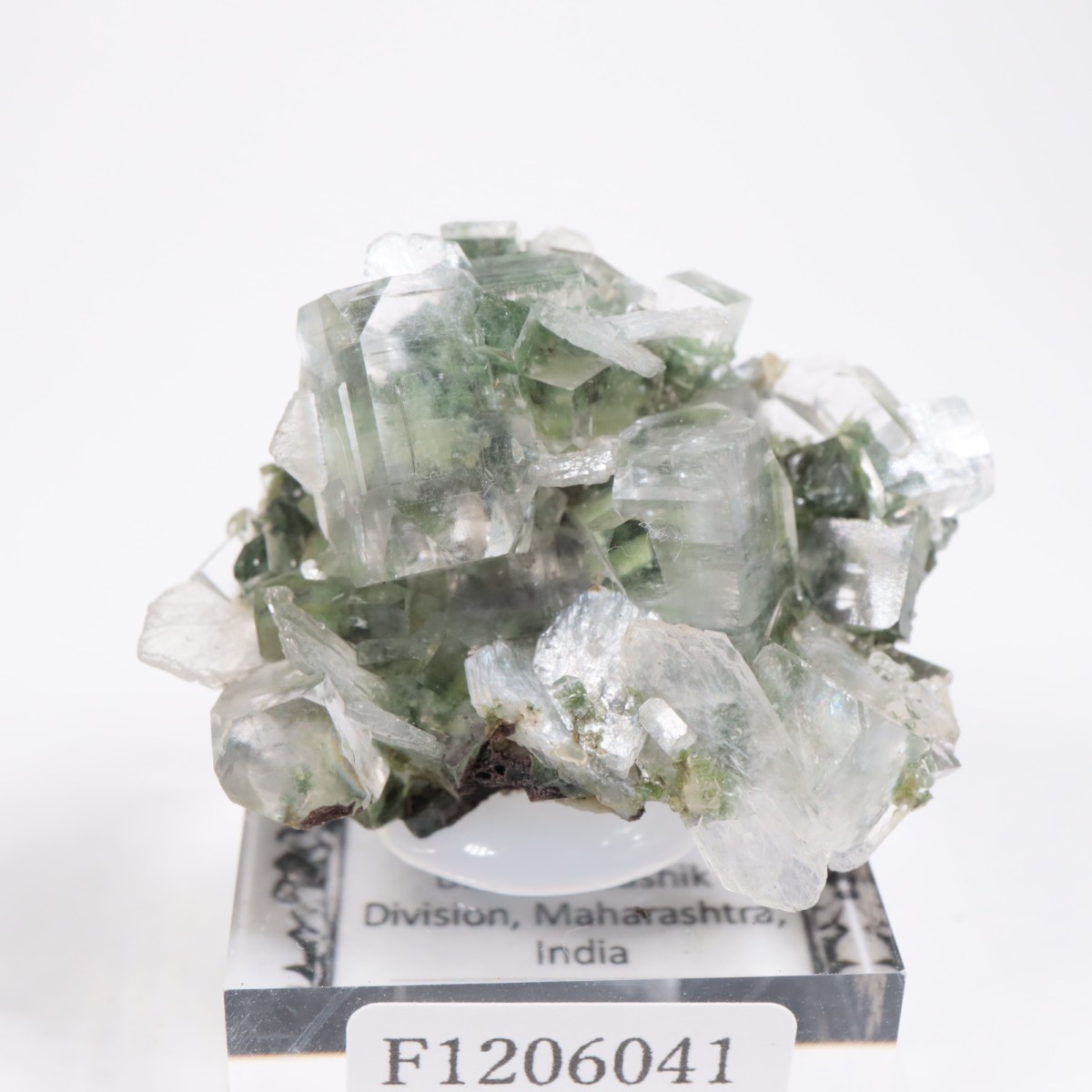 ����ɻ� ���ݥե��饤��