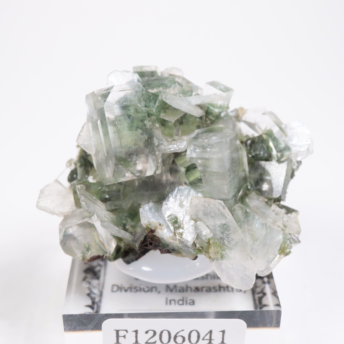 ����ɻ� ���ݥե��饤��