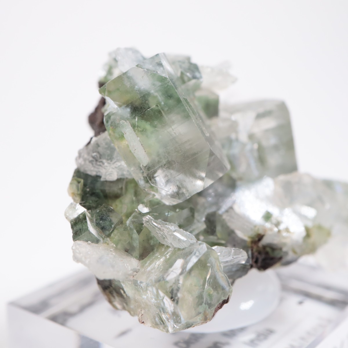 ����ɻ� ���ݥե��饤��