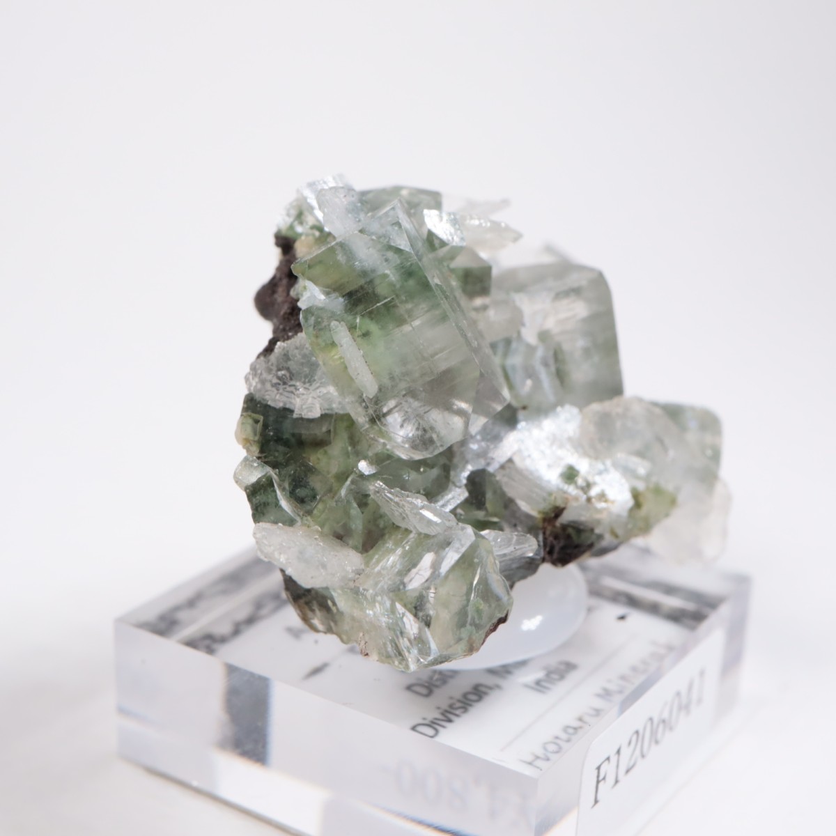 ����ɻ� ���ݥե��饤��