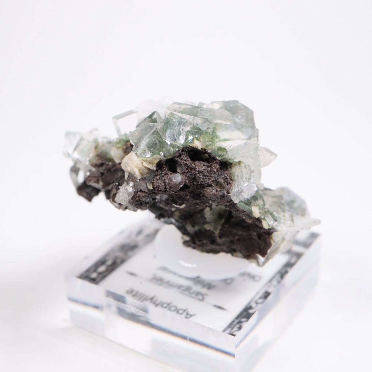 ����ɻ� ���ݥե��饤��