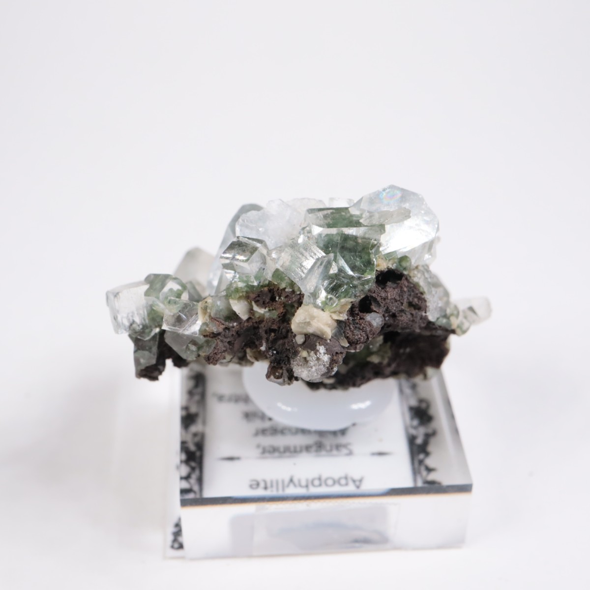 ����ɻ� ���ݥե��饤��