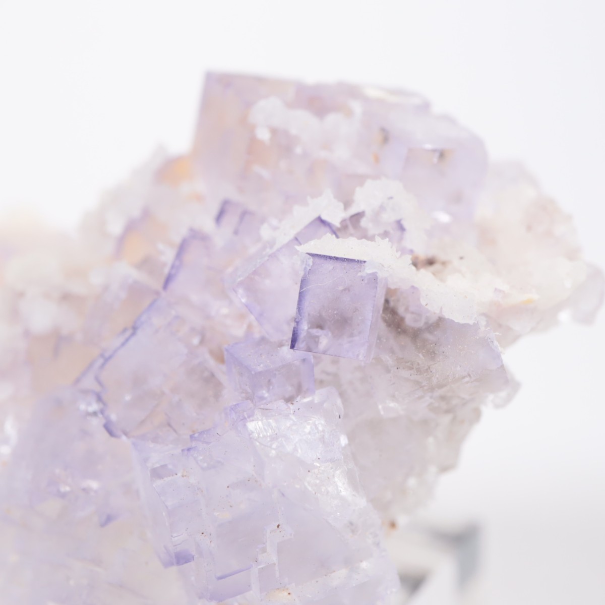 �ᥭ������ �ե����饤��