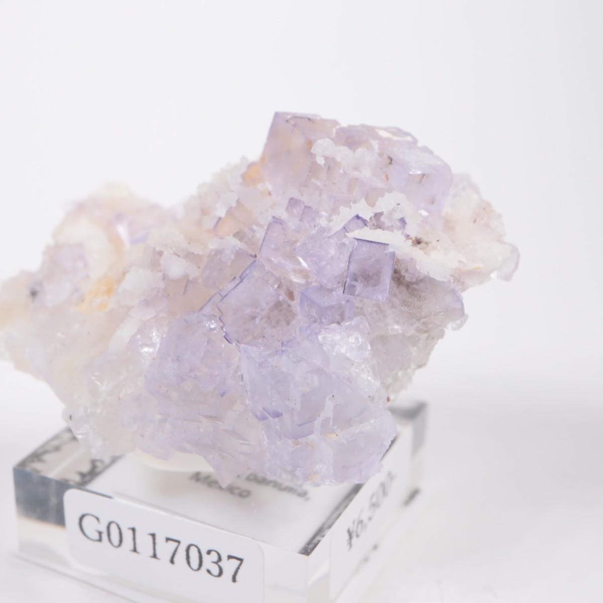 �ᥭ������ �ե����饤��