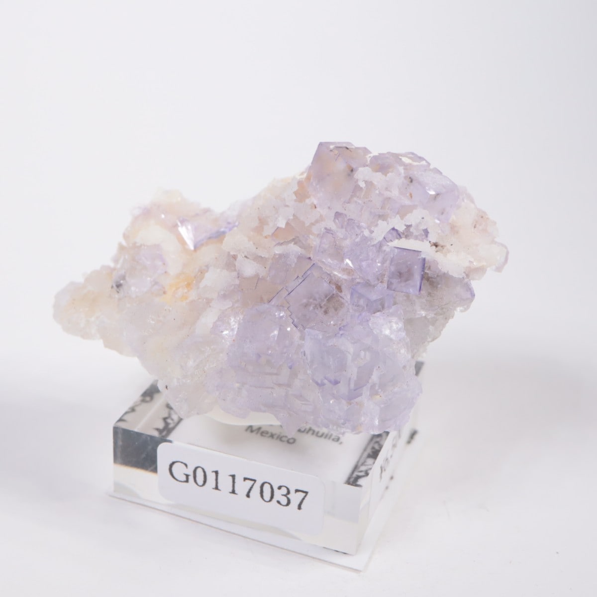 �ᥭ������ �ե����饤��