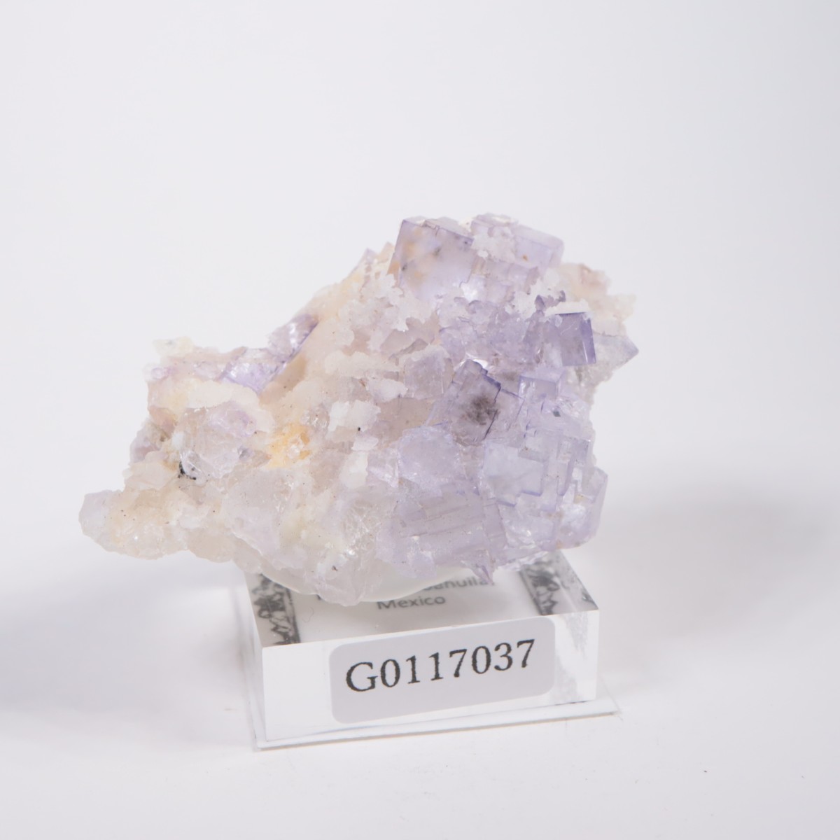 �ᥭ������ �ե����饤��