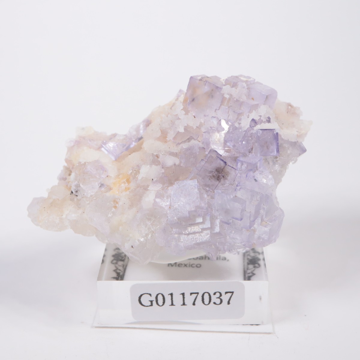 �ᥭ������ �ե����饤��