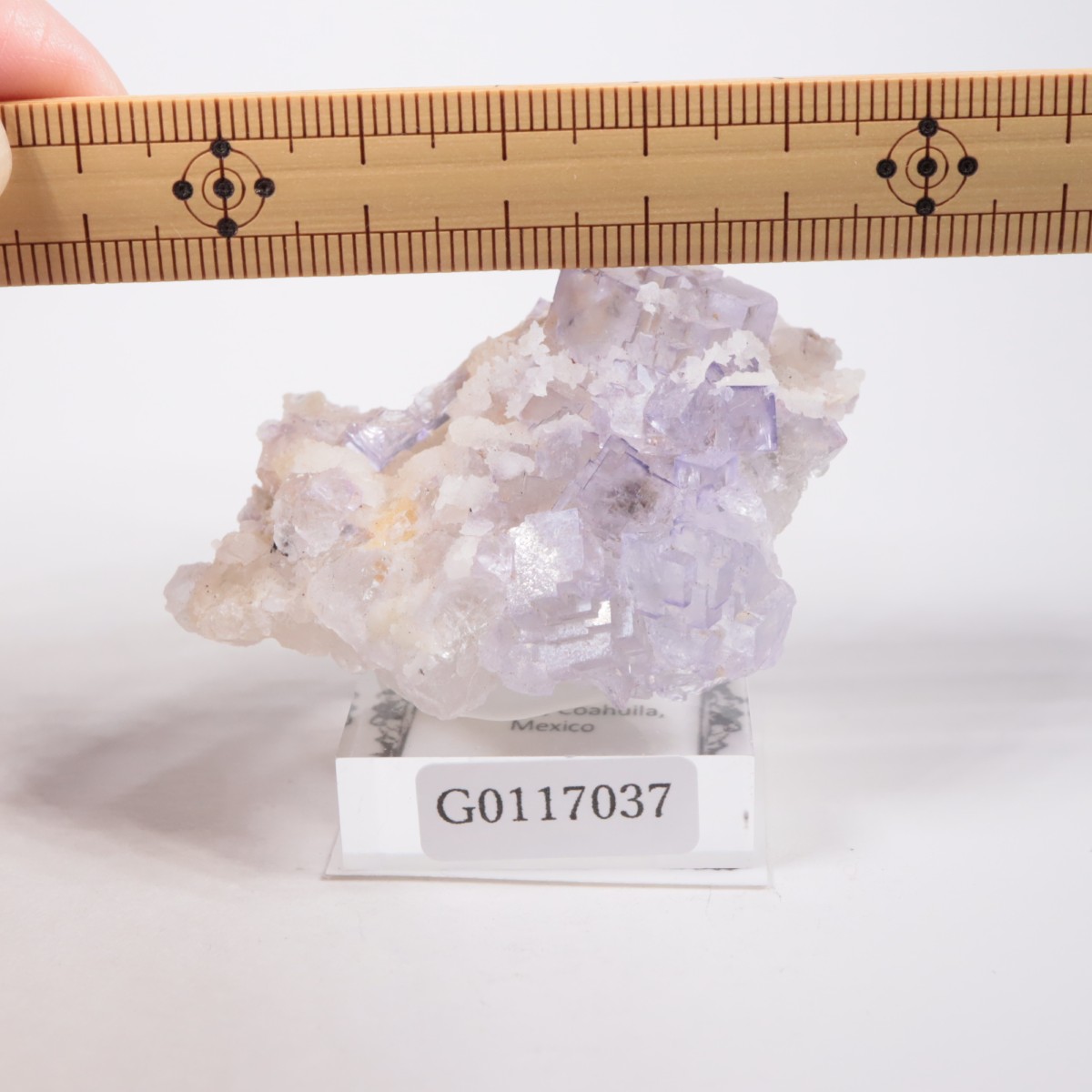 �ᥭ������ �ե����饤��