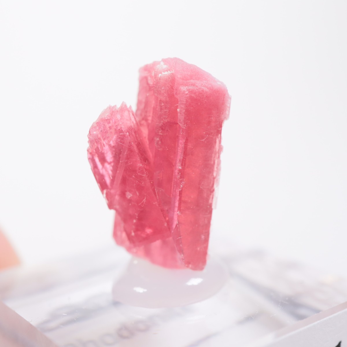 �֥饸�뻺 �����ɥʥ���