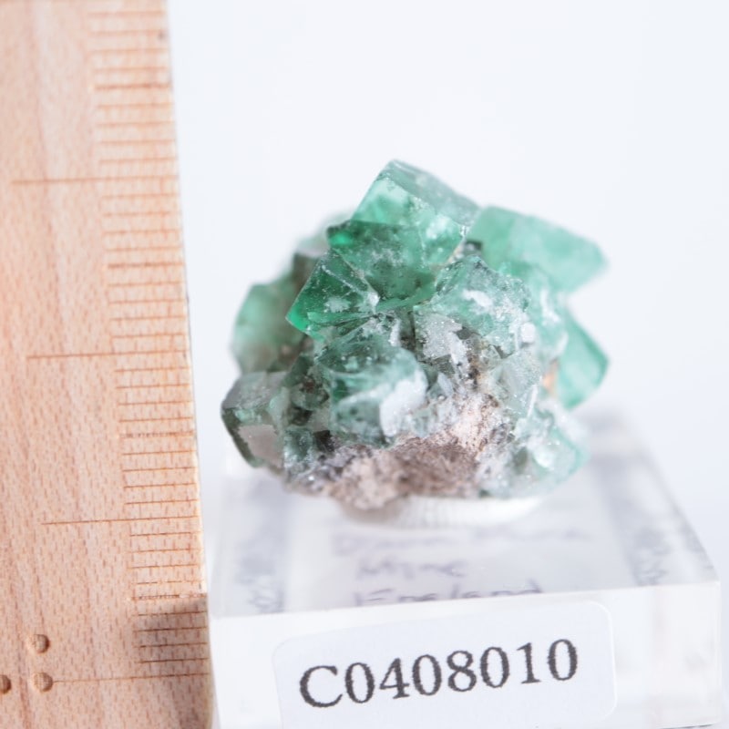 Diana Maria鉱山 フローライト fluorite 鉱物 鉱物標本 原石 Diana Maria鉱山 フローライト | 鉱物標本,ハ行,フローライト/蛍
