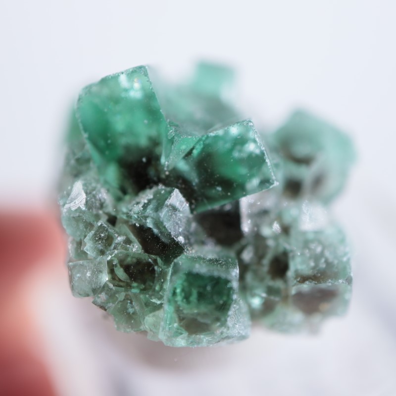 Diana Maria鉱山　フローライト　fluorite 鉱物　鉱物標本　原石 Diana Maria鉱山 フローライト | 鉱物標本,ハ行,フローライト/蛍