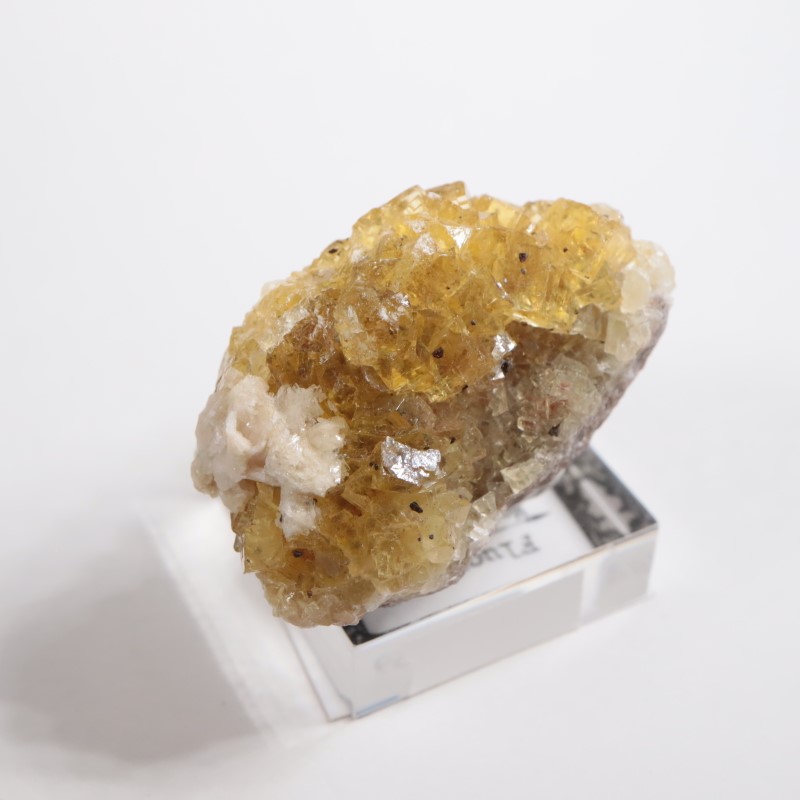 �⥹���ʹۻ����ե����饤��