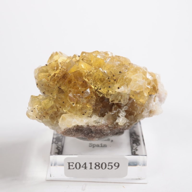 スペイン モスコナ産 フローライト 鉱物標本 モスコナ鉱山 フローライト | 鉱物標本,ハ行,フローライト/蛍石,フロー