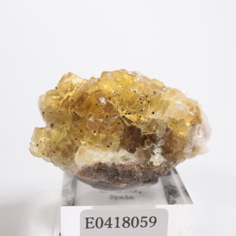 �⥹���ʹۻ����ե����饤��