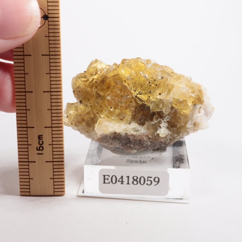 スペイン モスコナ産 フローライト 鉱物標本 モスコナ鉱山 フローライト | 鉱物標本,ハ行,フローライト/蛍石,フロー