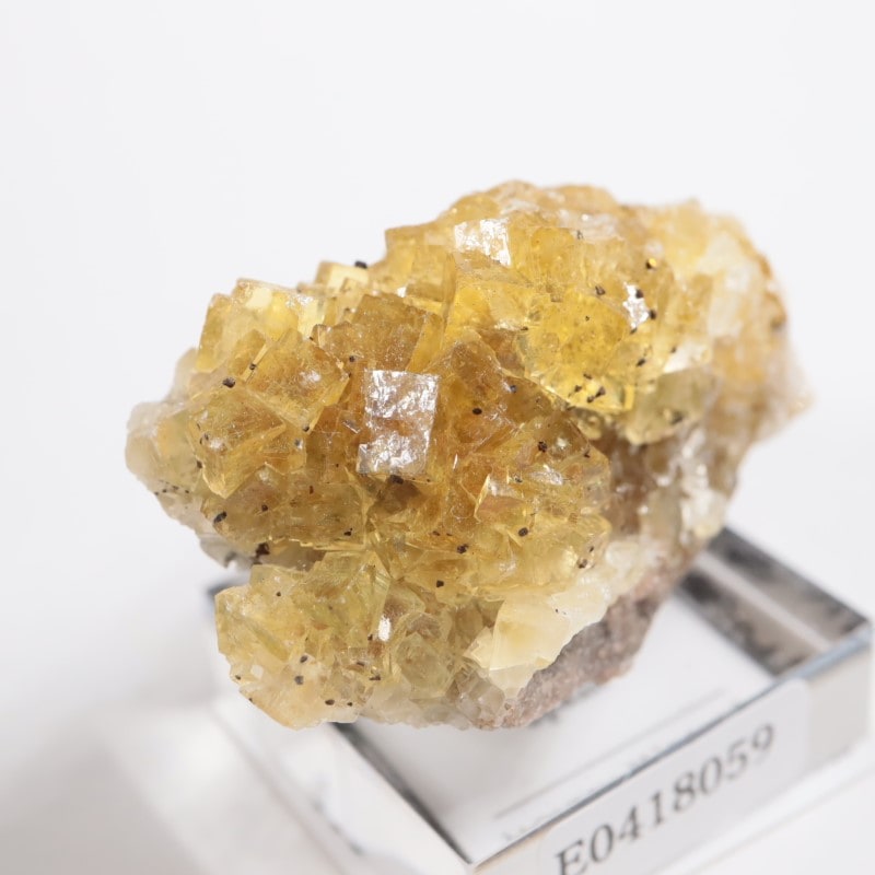 �⥹���ʹۻ����ե����饤��