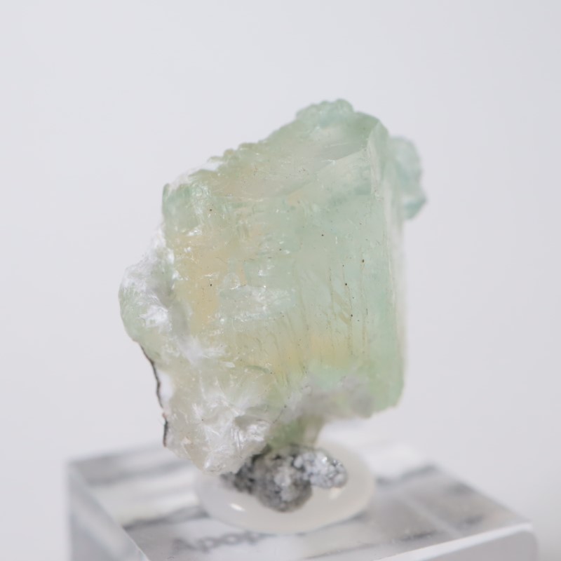 Lonavala�������ݥե��饤��