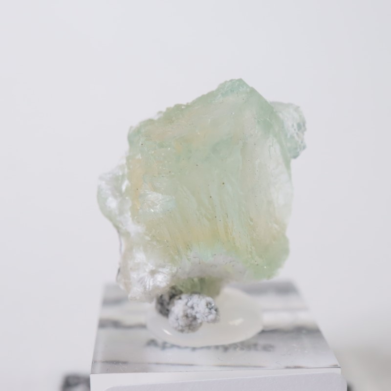 Lonavala�������ݥե��饤��