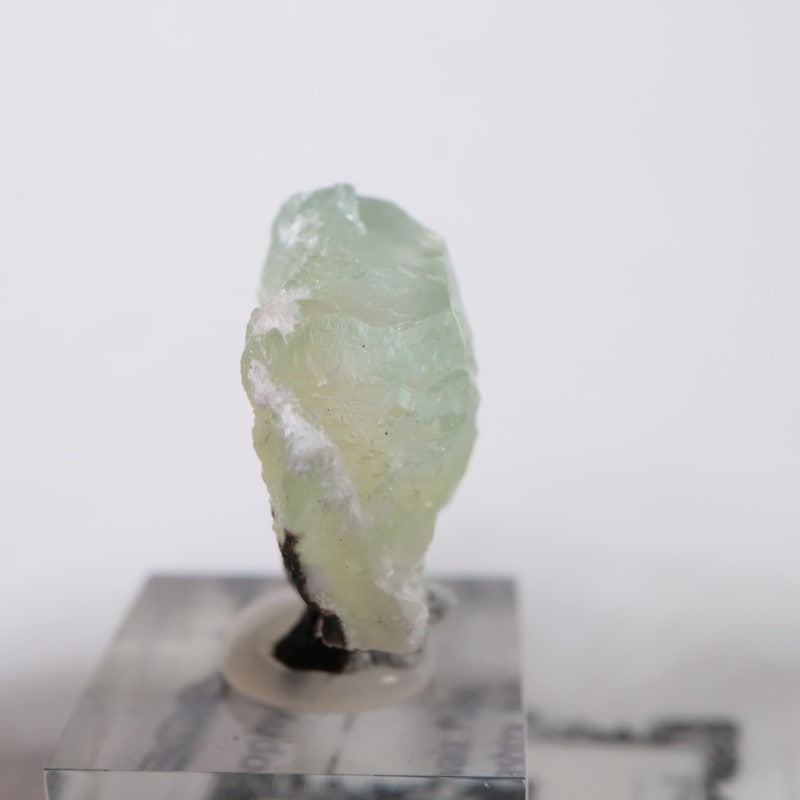 Lonavala�������ݥե��饤��