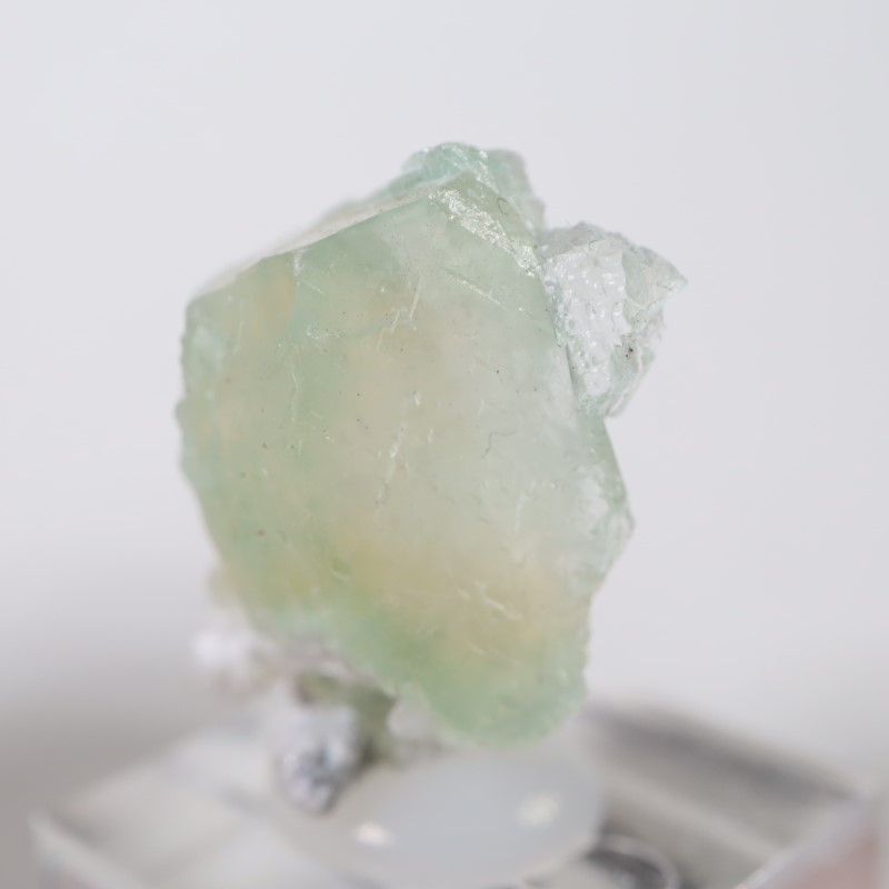 Lonavala�������ݥե��饤��