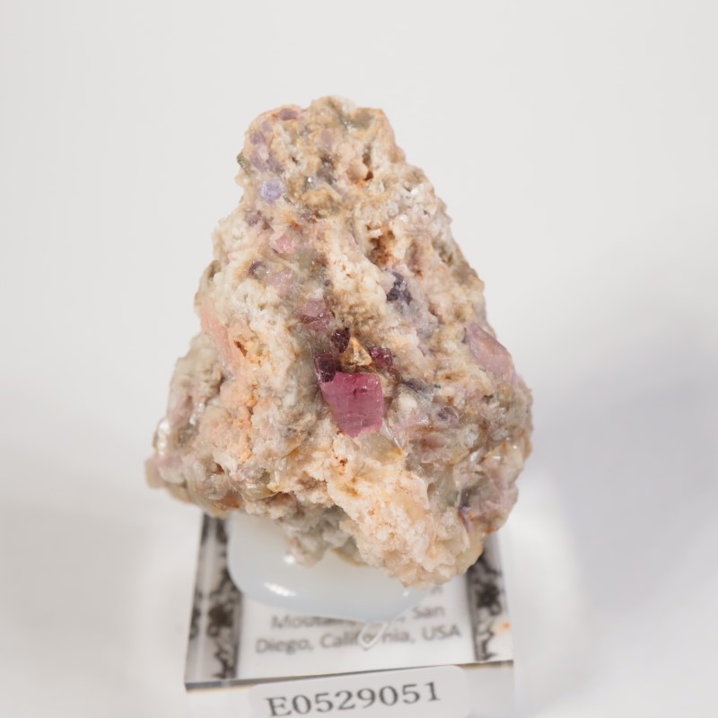 �ȥ�ޥ�󥭥󥰹ۻ����ȥ�ޥ��