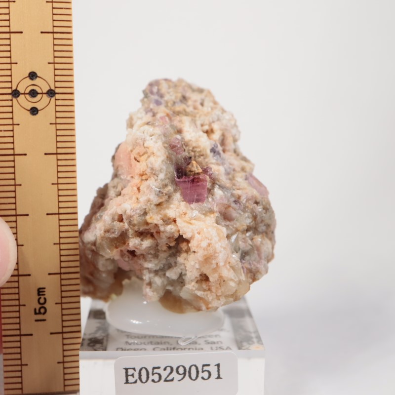 �ȥ�ޥ�󥭥󥰹ۻ����ȥ�ޥ��