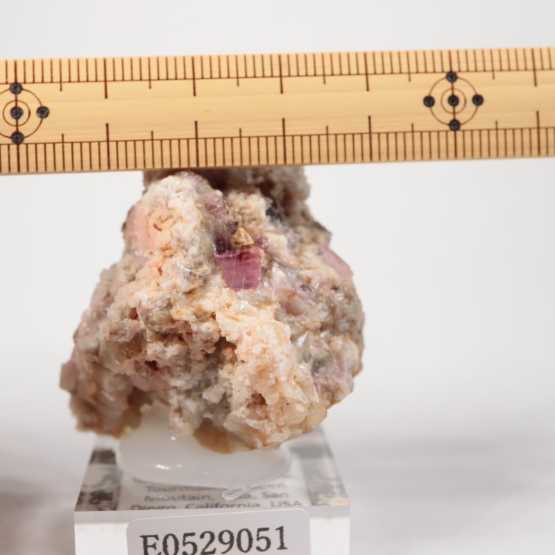 �ȥ�ޥ�󥭥󥰹ۻ����ȥ�ޥ��