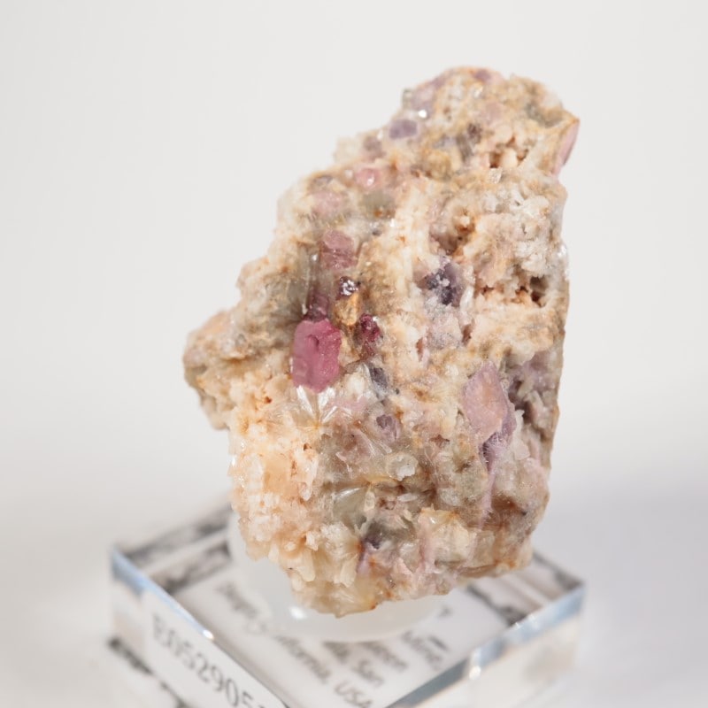 �ȥ�ޥ�󥭥󥰹ۻ����ȥ�ޥ��