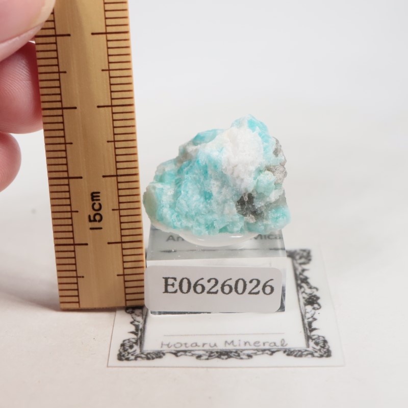 �ޥ��������뻺�����ޥ��ʥ��ȡ�����