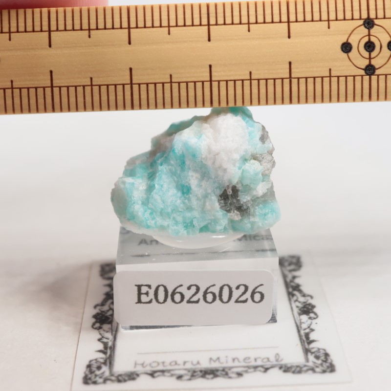 �ޥ��������뻺�����ޥ��ʥ��ȡ�����