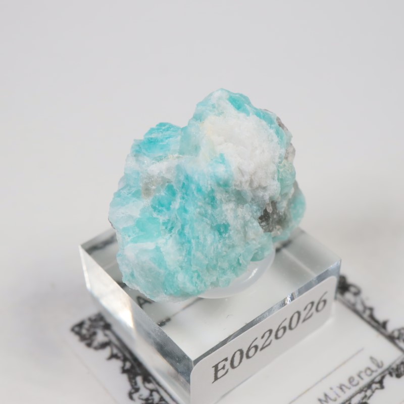 �ޥ��������뻺�����ޥ��ʥ��ȡ�����