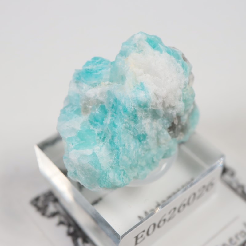 �ޥ��������뻺�����ޥ��ʥ��ȡ�����