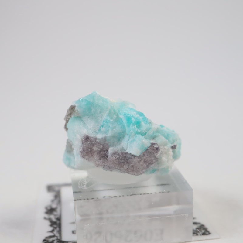 �ޥ��������뻺�����ޥ��ʥ��ȡ�����