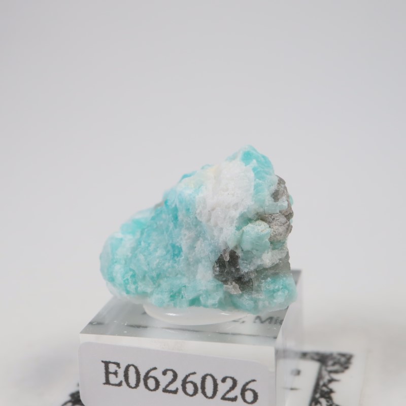 �ޥ��������뻺�����ޥ��ʥ��ȡ�����