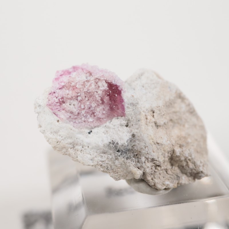 �楿���� ��åɥ٥��