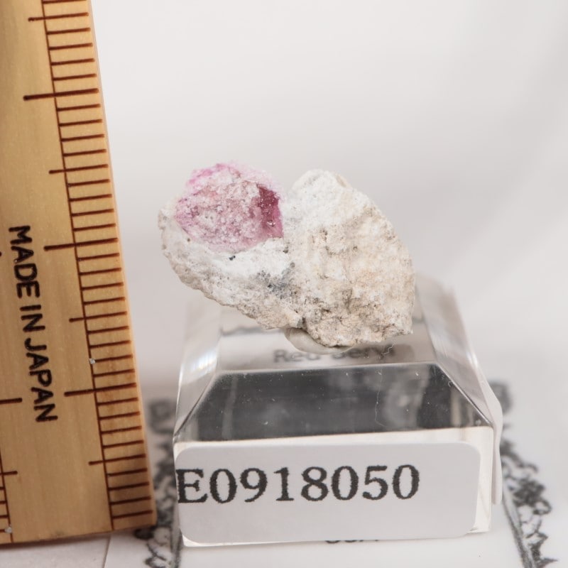 �楿���� ��åɥ٥��