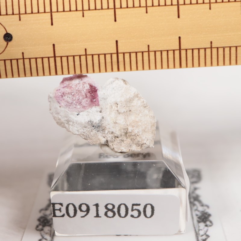 �楿���� ��åɥ٥��