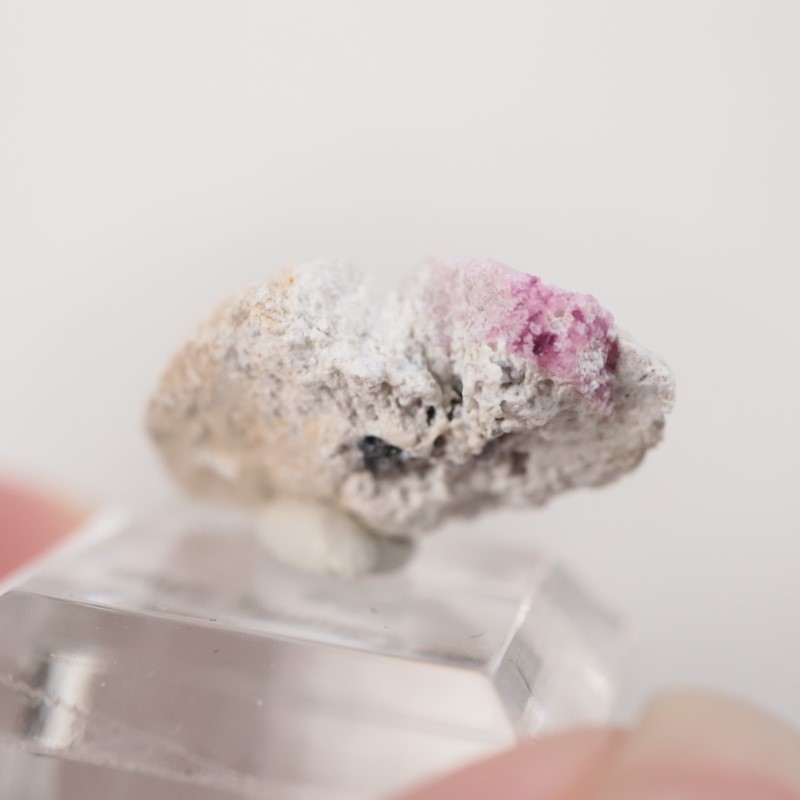 �楿���� ��åɥ٥��