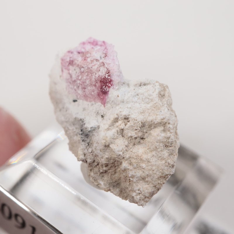 �楿���� ��åɥ٥��