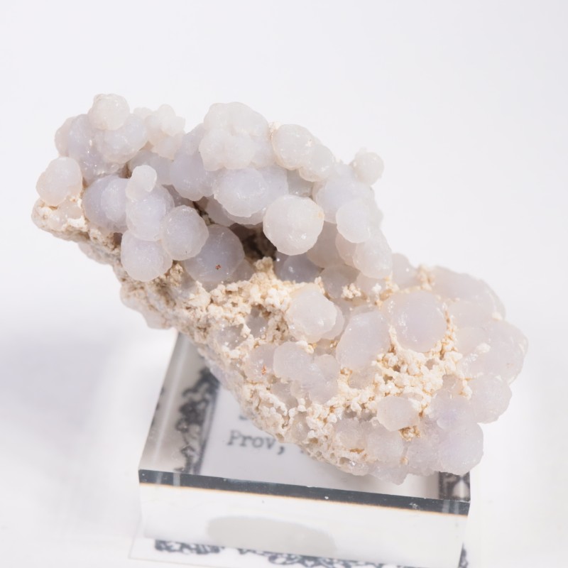 ����ɥͥ����� ���졼�ץ�������