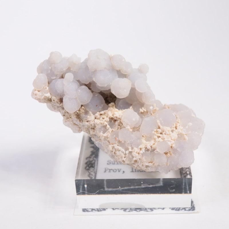 ����ɥͥ����� ���졼�ץ�������