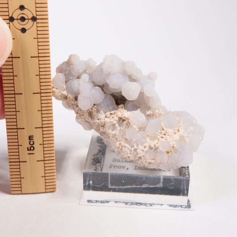 ����ɥͥ����� ���졼�ץ�������